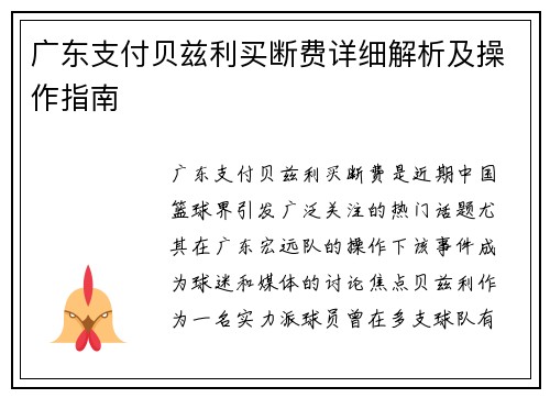 广东支付贝兹利买断费详细解析及操作指南