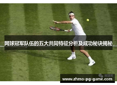 网球冠军队伍的五大共同特征分析及成功秘诀揭秘