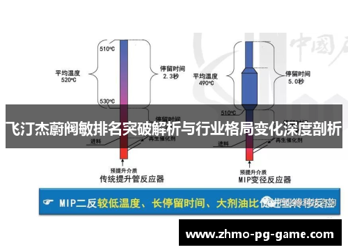 飞汀杰蔚阀敏排名突破解析与行业格局变化深度剖析
